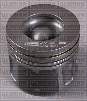 Piston (31-04949-000)