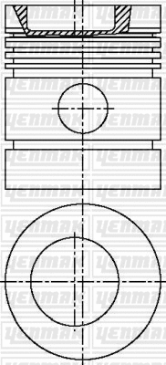 Piston (31-03638-000)