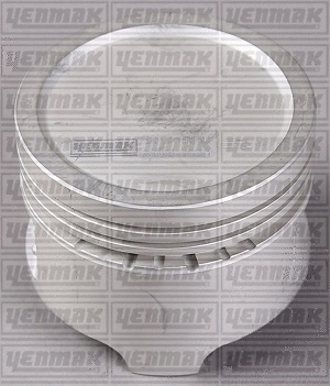 Piston (31-04202-000)
