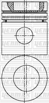 Piston (31-03642-000)