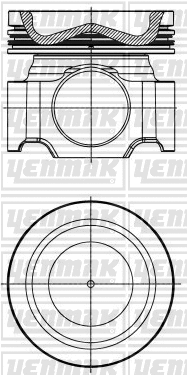 Piston (31-30019-000)