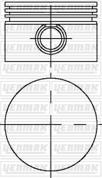 Piston (31-03619-000)