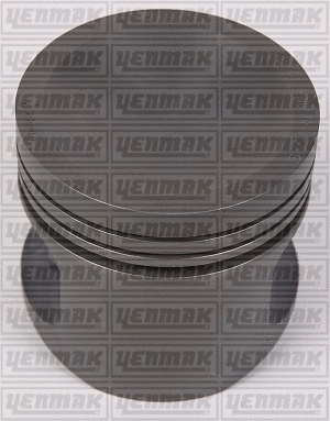 Piston (31-03304-000)