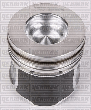 Piston (31-03355-000)