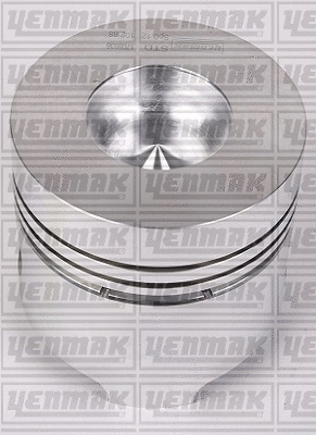 Piston (31-03407-000)