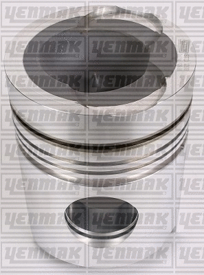 Piston (31-03263-000)
