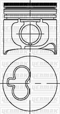 Piston (31-03684-000)
