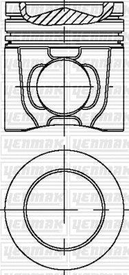 Piston (31-04096-000)