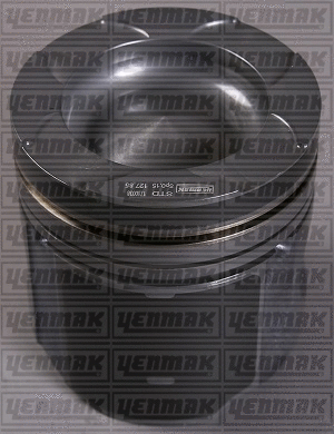 Piston (31-03579-000)