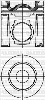 Piston (31-03921-000)