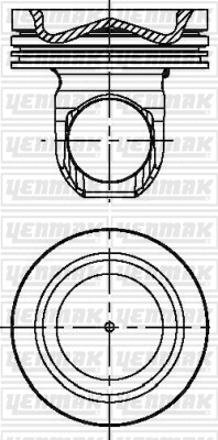 Piston (31-04085-000)