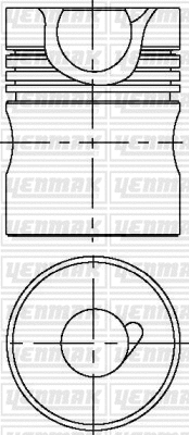 Piston (31-03601-000)