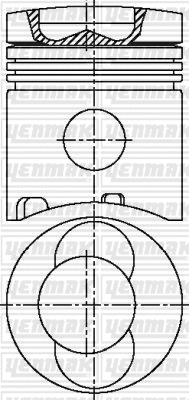 Piston (31-03513-000)