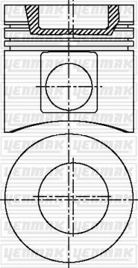 Piston (31-04919-000)