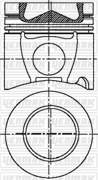 Piston (31-04733-000)