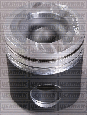 Piston (31-04887-000)