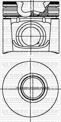 Piston (31-03691-000)
