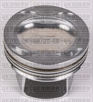 Piston (39-03287-000)