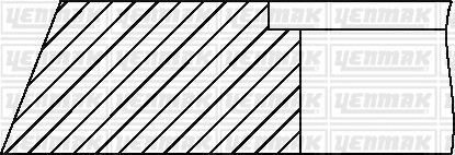 Piston Ring Kit (91-09003-000)