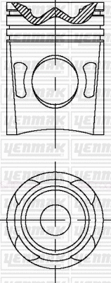 Piston (31-04667-000)