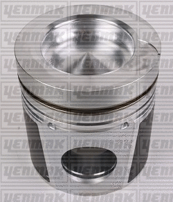 Piston (31-03273-000)