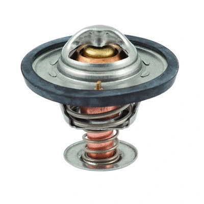 Thermostat, coolant (94.091)