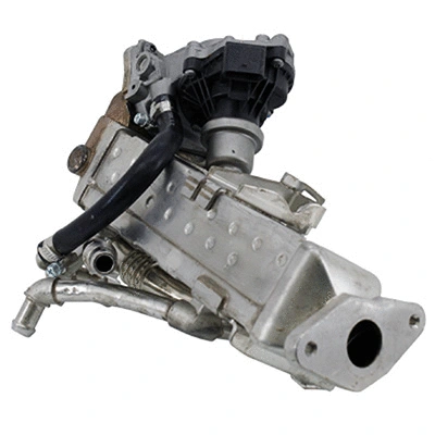 EGR Module (83.1655R)