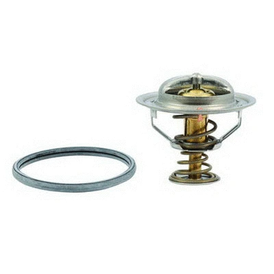Thermostat, coolant (94.307)
