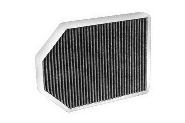Filter, cabin air (600-2)