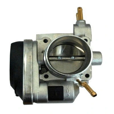 Throttle Body (88.111)