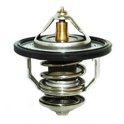 Thermostat, coolant (94.294)
