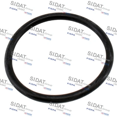 Seal, thermostat (94.01657)