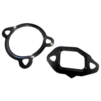 Gasket, EGR valve (83.01607)