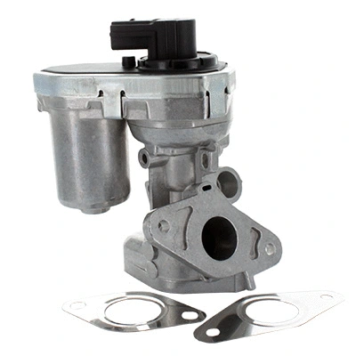EGR Valve (83.4829)