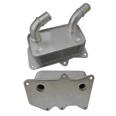 Oil Cooler, engine oil (590145)