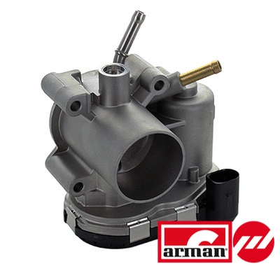 Throttle Body (88.234AS)