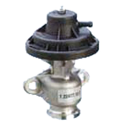 EGR Valve (83.716)