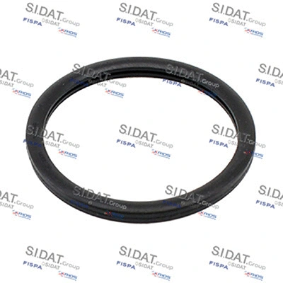Seal, thermostat (94.01656)