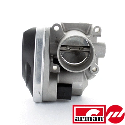 Throttle Body (88.043AS)