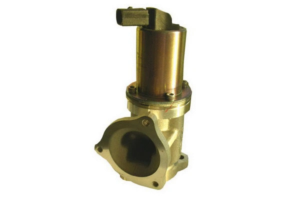 EGR Valve (83.790)