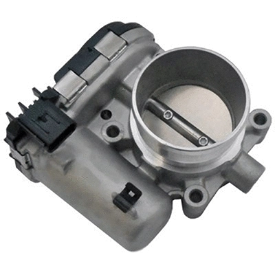Throttle Body (88.295)