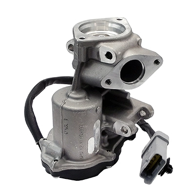 EGR Valve (83.924)