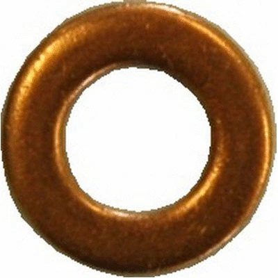Seal Ring, nozzle holder (81.059)