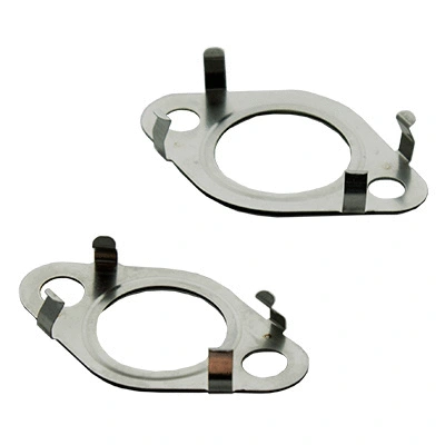 Gasket, EGR valve (83.01631)
