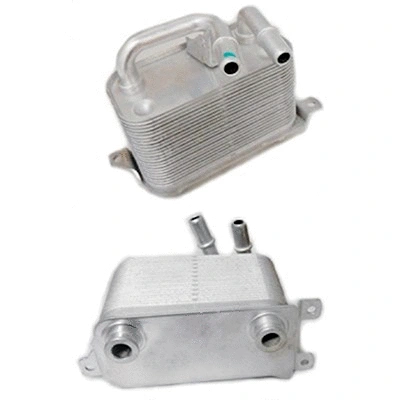 Oil Cooler, engine oil (590028)
