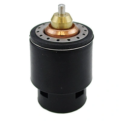Thermostat, coolant (94.899)