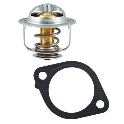 Thermostat, coolant (94.116)