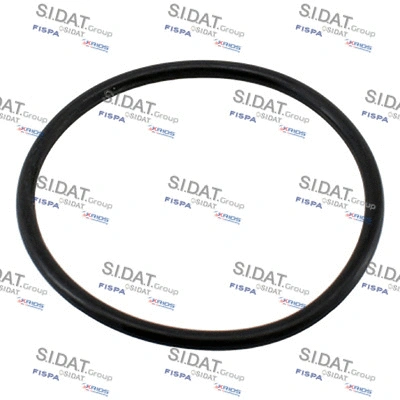 Seal, thermostat (94.01663)