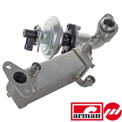 EGR Module (83.1554AS)