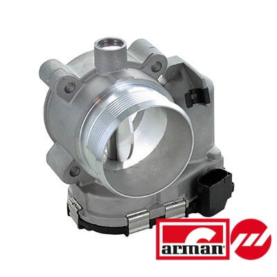 Throttle Body (88.212AS)